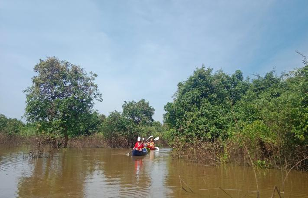 kayaking, birds watching